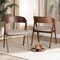 Baxton Studio Danton Mid-Century Beige Fabric Upholstered and Walnut Brown Finished Wood Dining Chair Set(2PC) PR 191-2PC-11704-ZORO - alternate 1